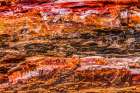 Red-orange and yellow petrified wood abstract-Blue Mesa-Petrified Forest National Park-Arizona Art Print